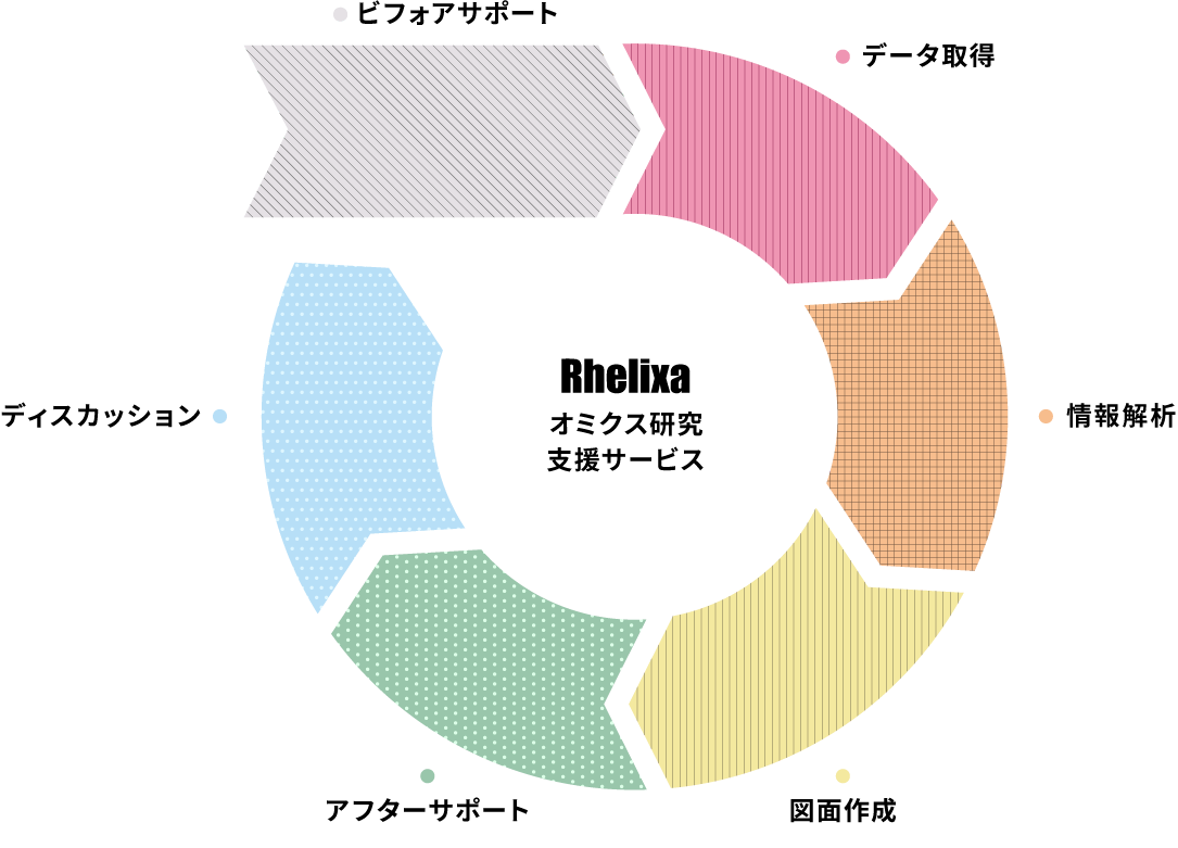 ビフォアサポート・データ取得・情報解析・図面作成・アフターサポート・ディスカッション