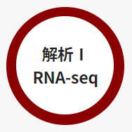 解析I RNA-seq
