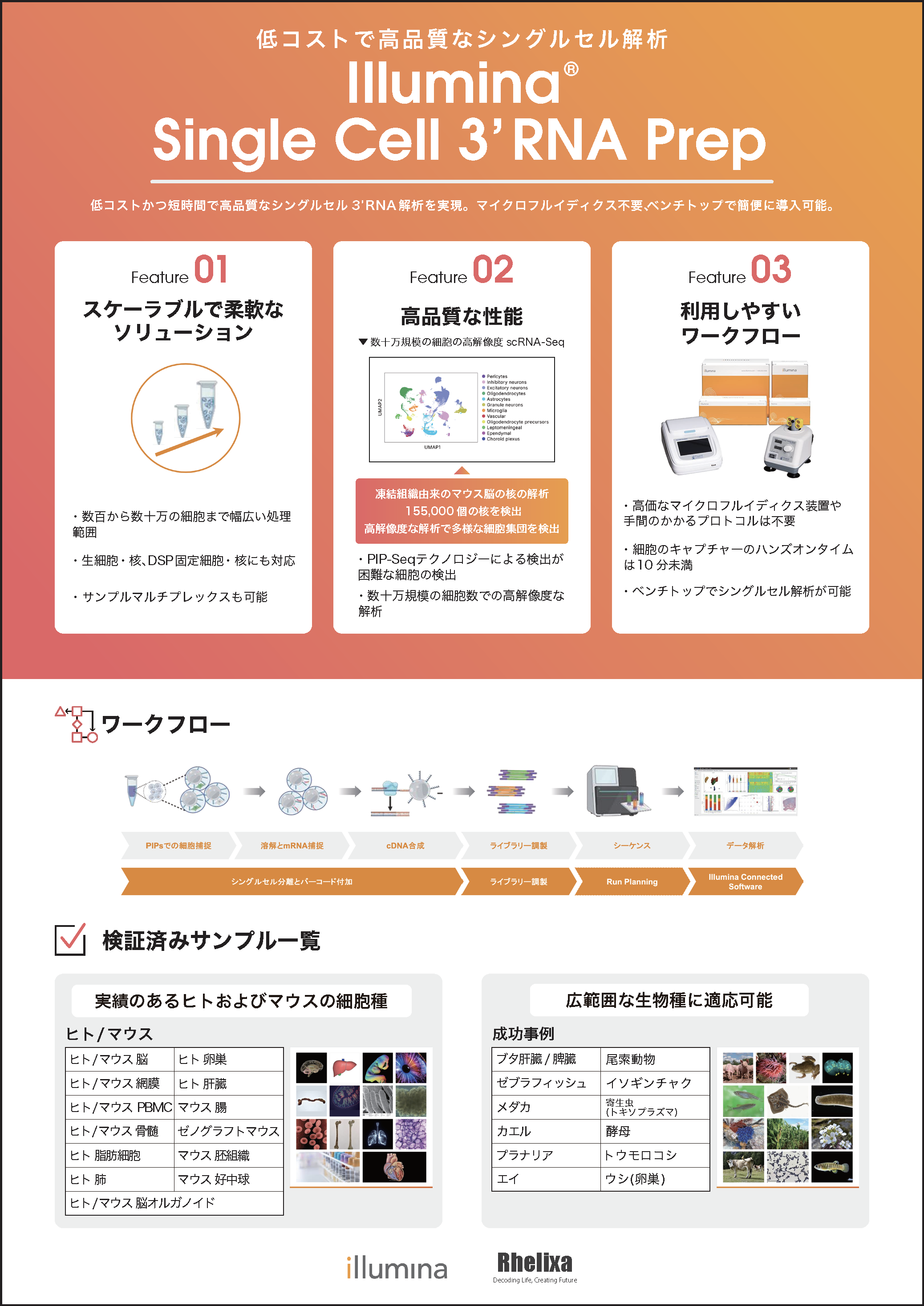 illumina Single cell 3'RNA prep データ解析サービス開始のご案内