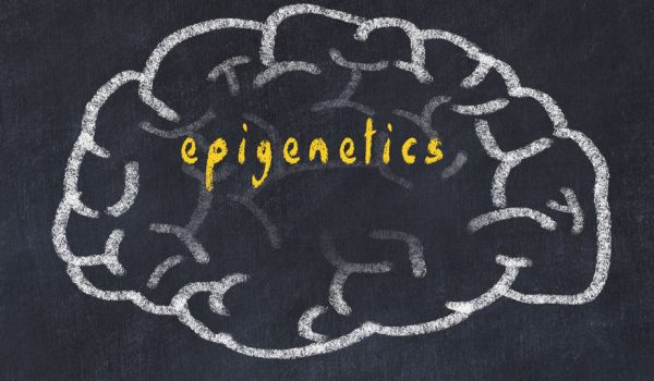 epigenetics