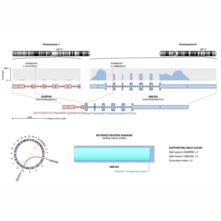 rnaseqfusiongeneanalysis 株式会社Rhelixa（レリクサ）